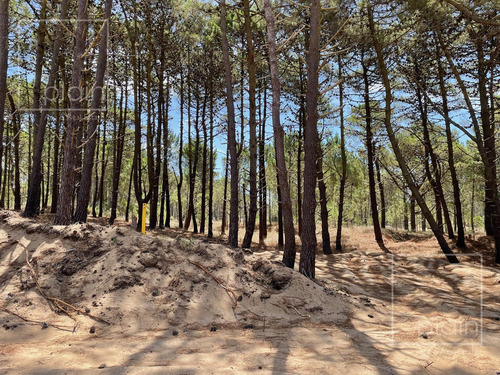 Terreno En Barrio Cerrado Bosques Pinamar Norte