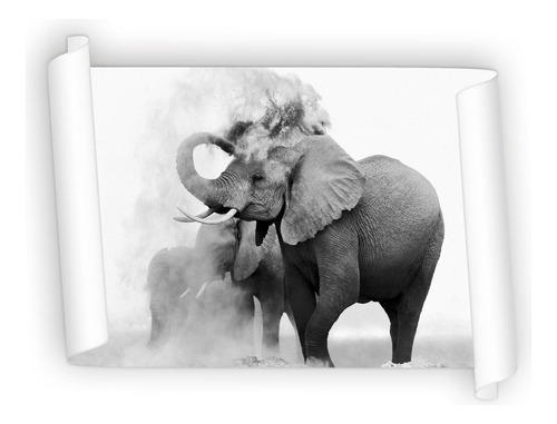 Poster De Papel Fotográfico Enrrollado Elefante Tier 60x90cm