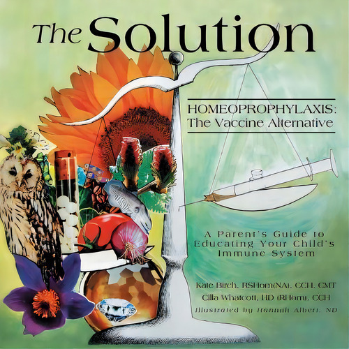 The Solution, De Kate Birch. Editorial Createspace Independent Publishing Platform, Tapa Blanda En Inglés