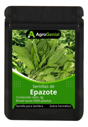 Semillas De Epazote Criollo Olor 1 Sobre Rinde 5000 Plantas