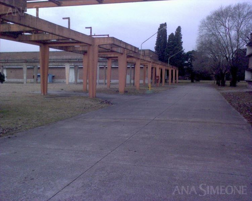 Imagen 4 de 6 de Nave Industrial - B.las Catonas