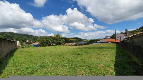 Imagem 2 de 5 de Amplo Terreno - Plano - Aguas Claras - Tr 225 - Tr 225