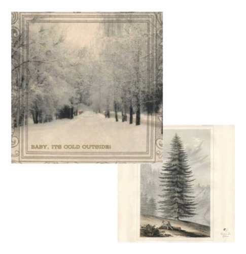 Papel Para Scrapbook 30,5 X 30,5 Art 0168 Winter Botany