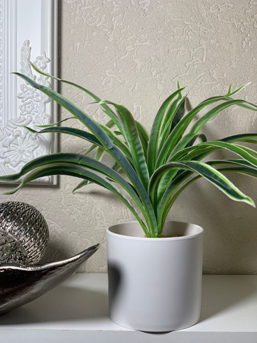Imagen 6 de 10 de Plantas Artificiales De Escritorio Combo Pack X2