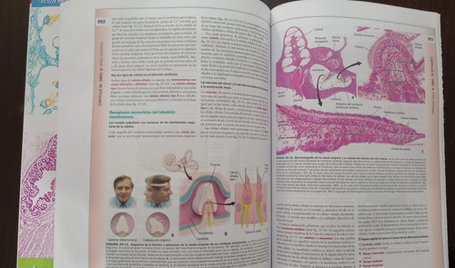 Histología Ross 8va