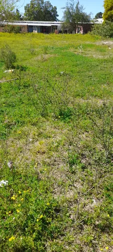 Terreno En Venta En Ciudad Del Plata Plata Pascual, Prox A La Costa