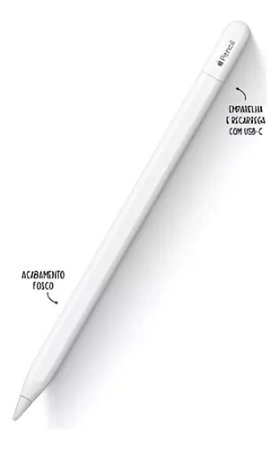 Apple Pencil (USB-C) : Amazon.com.br: Papelaria e Escritório