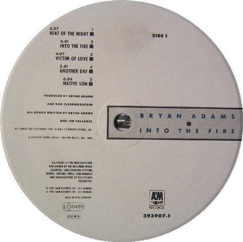 Vinilo Bryan Adams - Into The Fire (Usado)