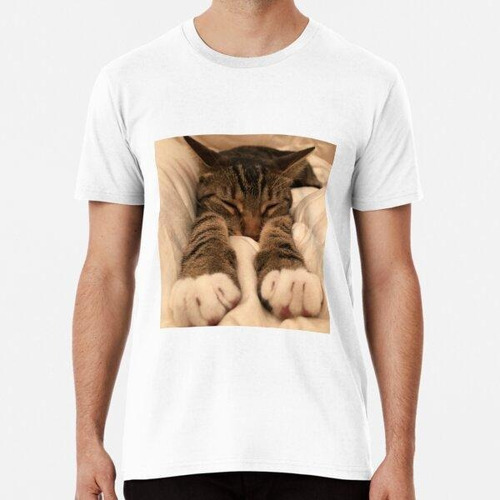 Remera Pegatinas Memes Gato Dormido Algodon Premium 