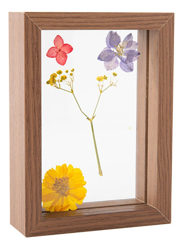 Marco Para Muestras De Flores Y Hojas Secas Con Marco De Cri