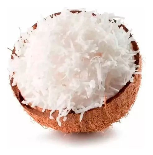 Coco Ralado Flocos Grosso Premium Zero Açucar Saudável Fit
