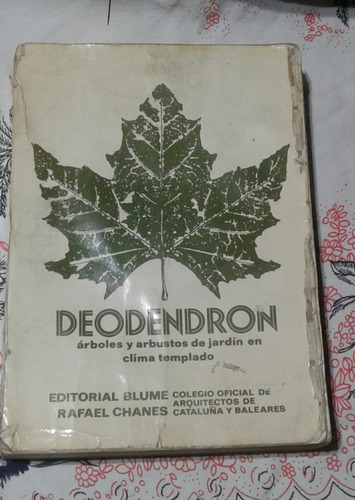 Deodendron - Zona Vte. Lopez