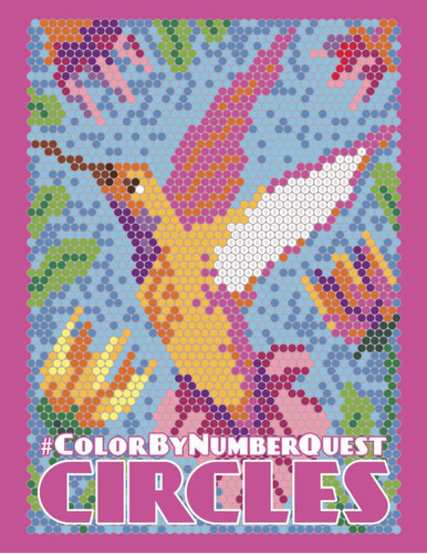 Libro: Color By Number Quest: Circles (color Quest Color By 