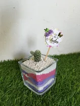 Comprar Terrario De Plantas, Mini Jardín Cactus Y Suculentas