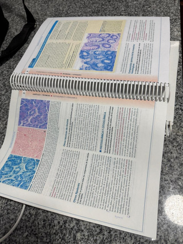 Histologia Ross 8 (Usado)