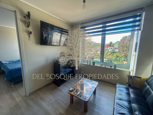 Arriendo Departamento En Mirador Placeres Marzo A Diciembre