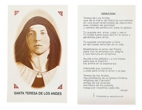 Estampas Santa Teresa De Los Andes Santoral Virgen X 100 Un