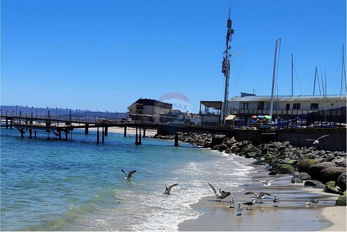 Inversión Ideal: Gran Terreno En Algarrobo,