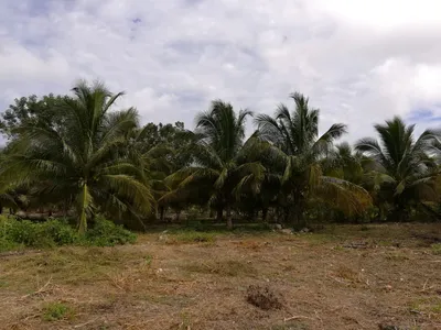 Rancho en venta