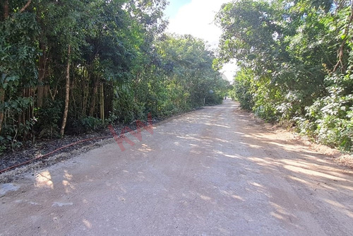 2 Terrenos Juntos 430 M2 Ideal Para Invertir En Cancún, Álamos