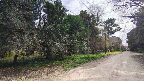 Venta Lote Terreno Chacras Canning 3278 M2 Totales