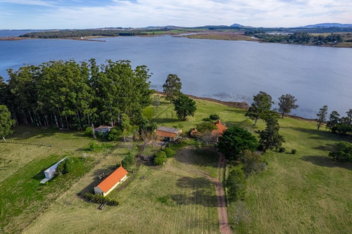 Imagen 7 de 16 de Venta De Chacra En Laguna Del Sauce, Punta Ballena