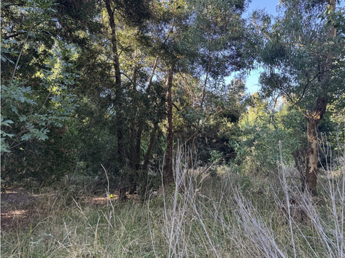 Lote En Venta En Los Bosquecitos. Con Construcción.