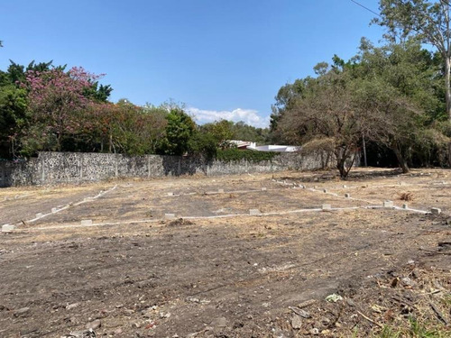 Imagen 6 de 11 de Terreno En Venta Lomas De Cuernavaca