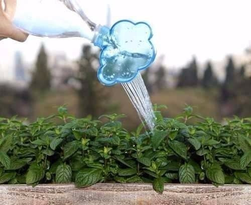 Regador Regadera En Forma De Nube Agua Lluvia Para Botella