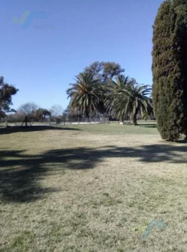 Imagen 3 de 13 de Terreno - La Ranita