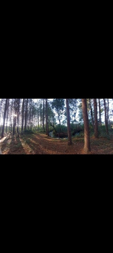 Imagen 7 de 13 de Chacra,campo Muy Centrica A 4km Del Centro De Jardin Americo