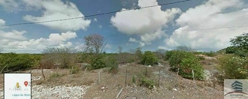Imagem 2 de 3 de Terreno A Venda Pirangi Do Sul