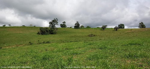 Imagem 15 de 15 de Fazenda Para Venda Em Barra Do Ribeiro, Douradilho - Barra Do Ribeiro - Rs, 3 Dormitórios, 2 Banheiros - 4010_1-1822734