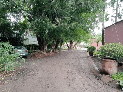Imagen 5 de 12 de Terreno En Venta Lomas De Cuernavaca