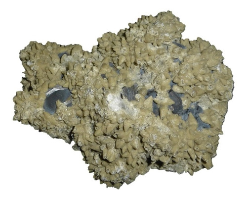 Mineral De Colección Siderita En Matriz De Mina La Ojuela