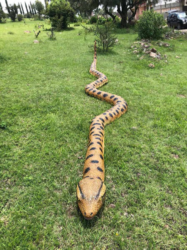 Animales Disecados 100% Artificiales VĂbora Anaconda