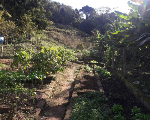 Imagem 6 de 22 de Sitio À Venda Em Juquitiba - 307 - 32982833