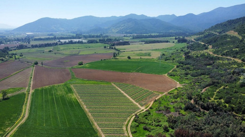 Codegua, Chimbarongo, Predio De 54,49 Has Ideal Par Cerezas