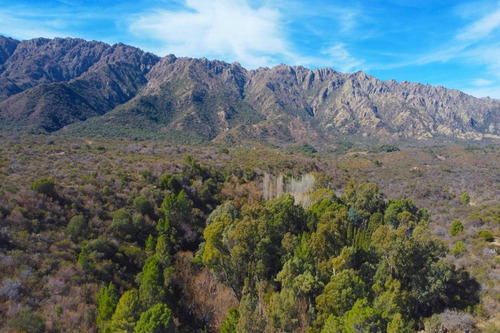 Imagen 10 de 24 de 5 Hectáreas 6 Lotes De 1000m2 Sobre Ruta Nº 1 - Cortadera