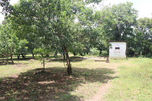 Imagen 8 de 8 de Venta De Terrenos Lotes En Masaya