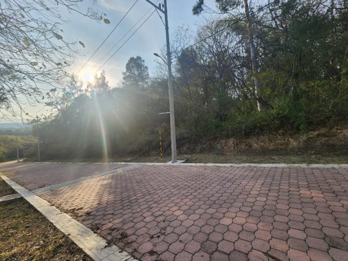 Venta Lote Gladiola 32 En Calle Privada De Nueva Zona De Fracc Rancho San Diego Ixtapan De La Sal Edomex Con Todos Los Servicios Y Vistas Panorámicas.