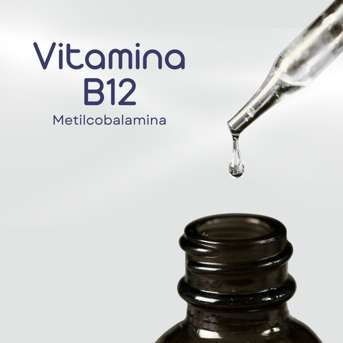 Vitamina B12 Sublingual Vegano Apisnutri Em Gotas 20ml