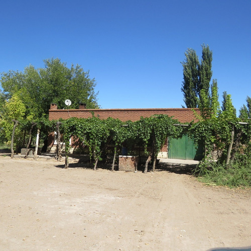 Imagen 8 de 14 de Vendo Finca 20 Hectareas Con Produccion De Viñedos Atuel Norte-san Rafael