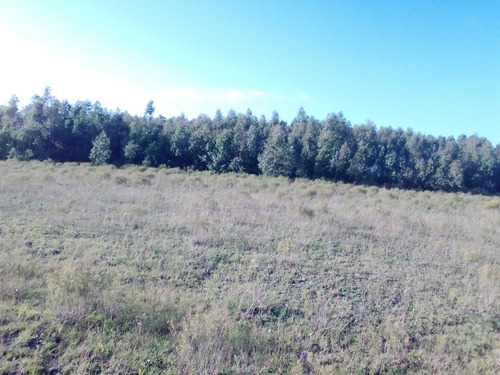 Oportunidad !! Chacra A 8 Km De Ciudad De Minas