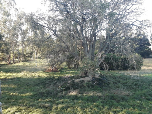 Imagen 16 de 23 de Campo 5 Ha Arboledas Añosas 2 Piletas Natac. Complejo C/instalac. Y Vvda Aptas Varios Destinos