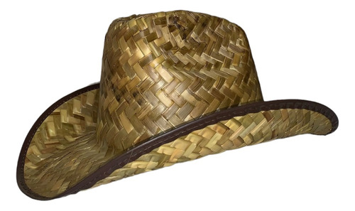 Sombrero Vaquero Adulto 1 Pz Palma Paja Disfraz Batucada