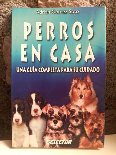 Perros En Casa Una Guia Completa Para Su Cuidado