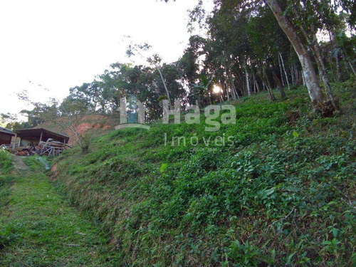 Chácara À Venda No Bairro Gaspar Grande - Gaspar/sc - 1539c