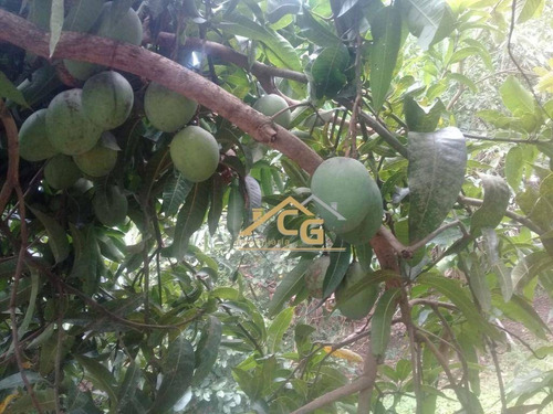 Imagem 19 de 24 de Linda Chacara Em Araçariguama Em Km 57 Castelo Branco - Ch0114