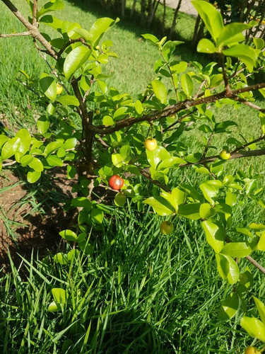 Imagem 11 de 30 de Chácara A Venda No Condomínio Villa Rica Em Bragança Paulista. - Ch00034 - 67748768